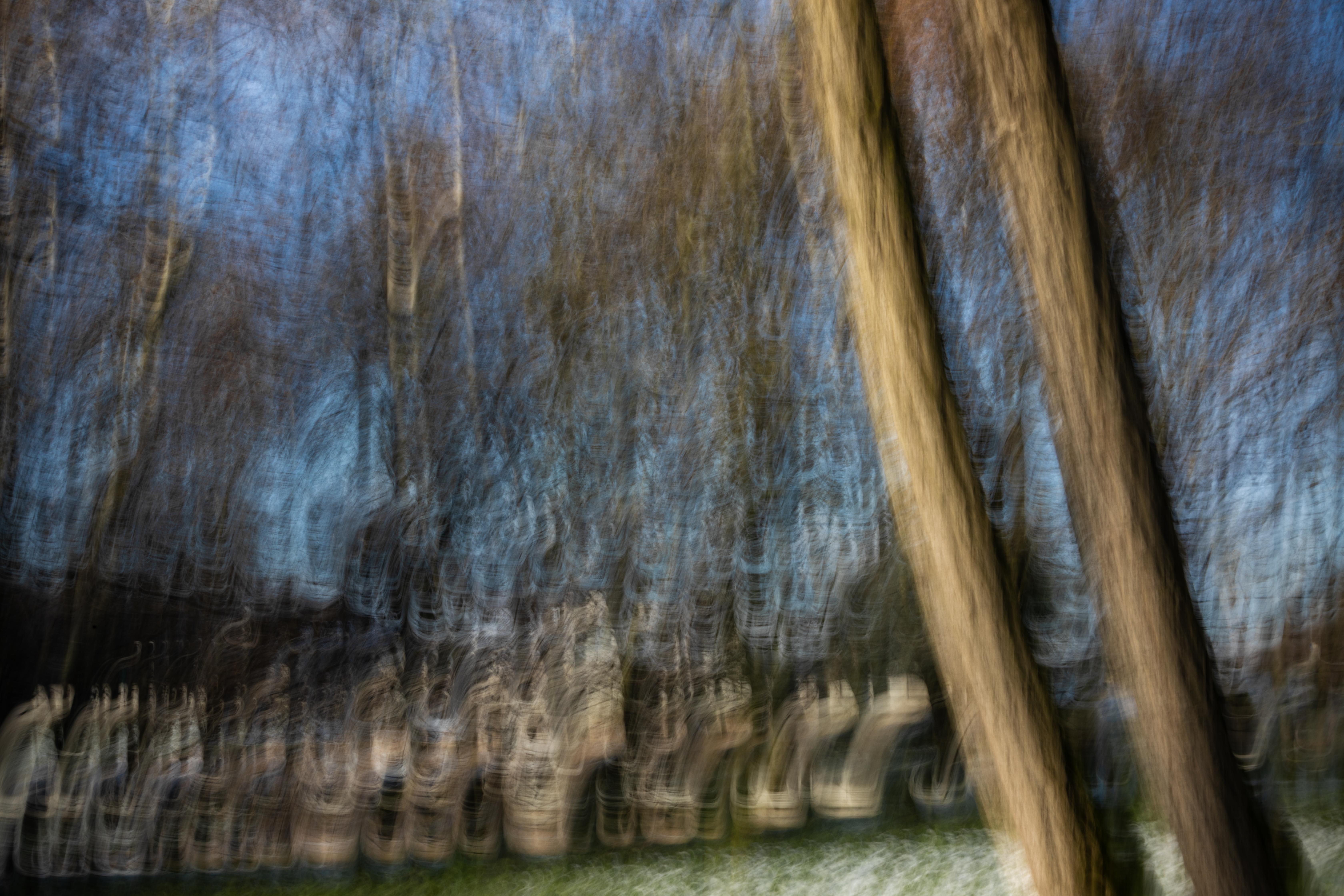Winter melody